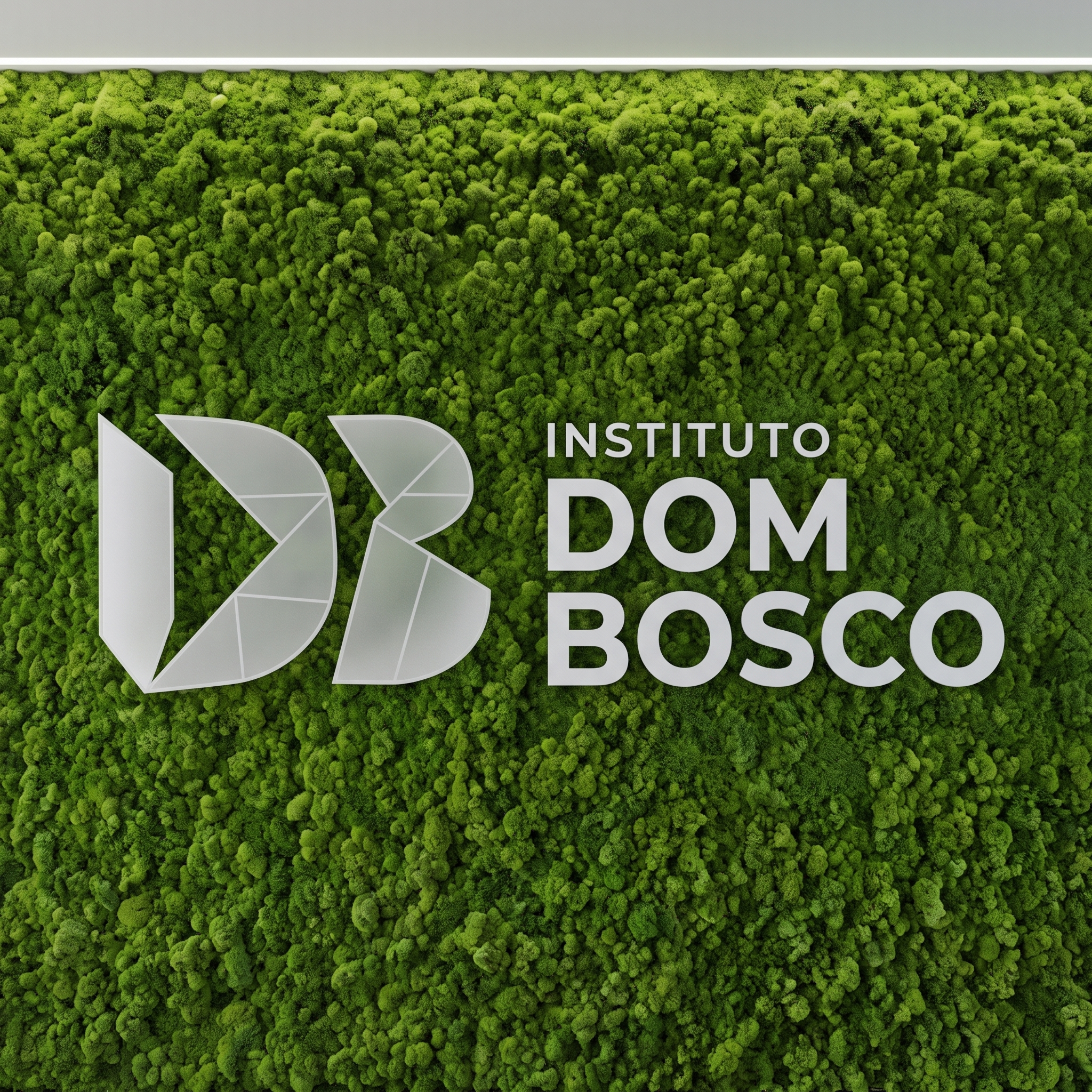 Abrir filme da criação da marca Dom Bosco